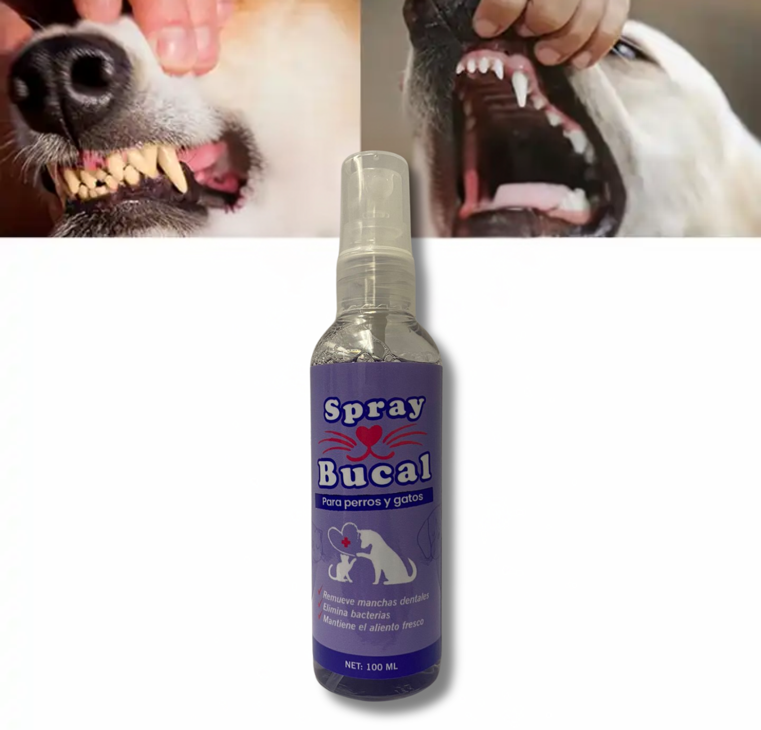 219229.png CUP SPRAY BUCAL PARA MASCOTAS - Imagen 1